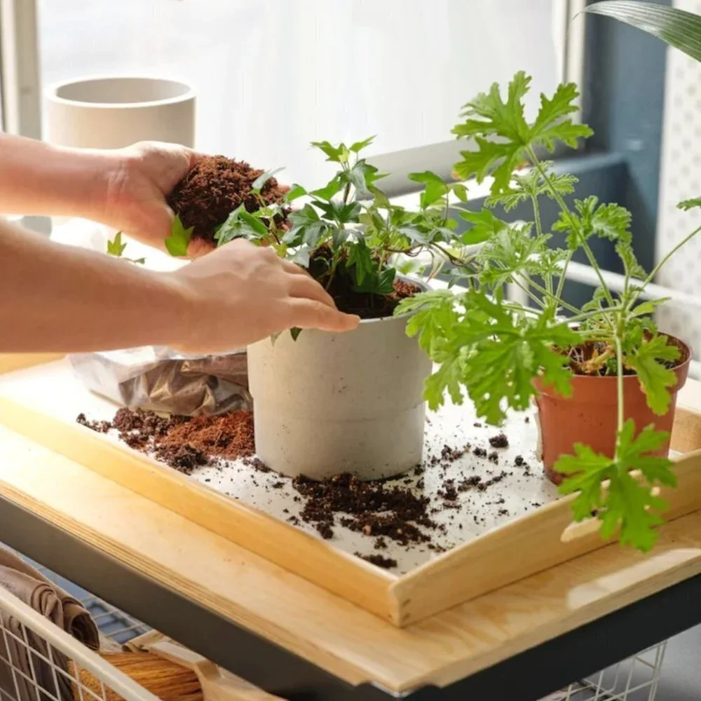 Ikea Nypon Gray Plant Pot